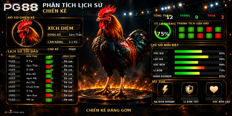 Phân tích lịch sử chiến kê